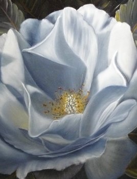 "Vita rosen". Olja på panel. 30x40 cm.